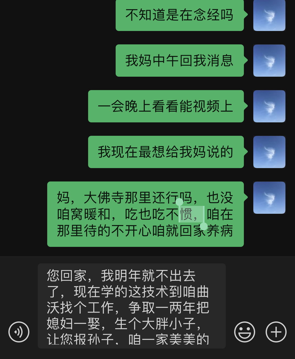 聊天截图