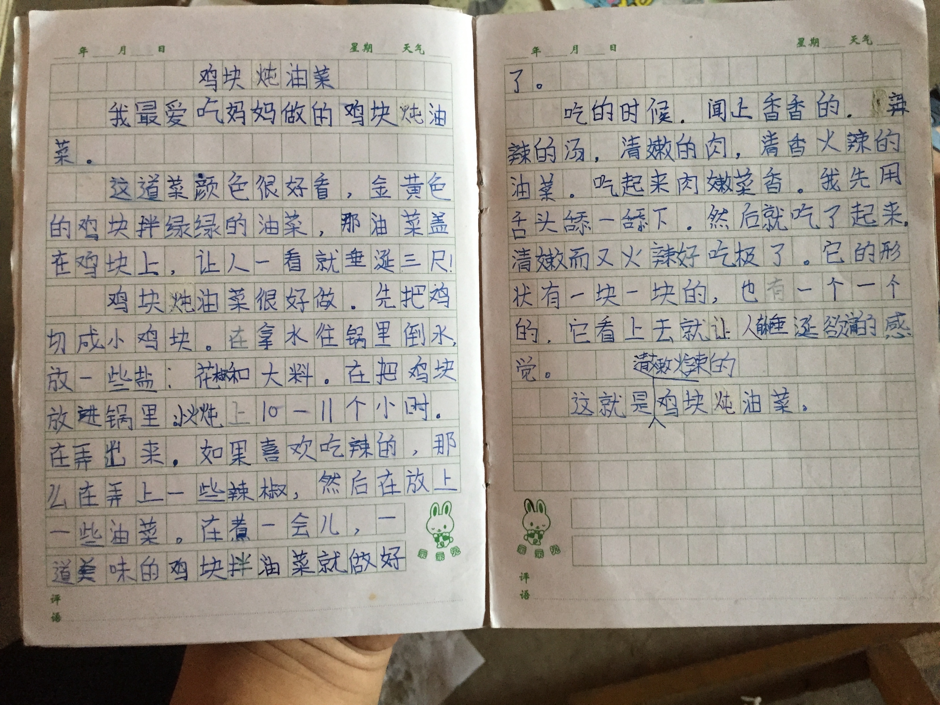 作文：鸡块炖油菜
