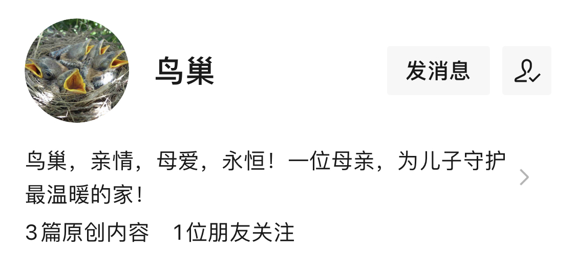 公众号鸟巢